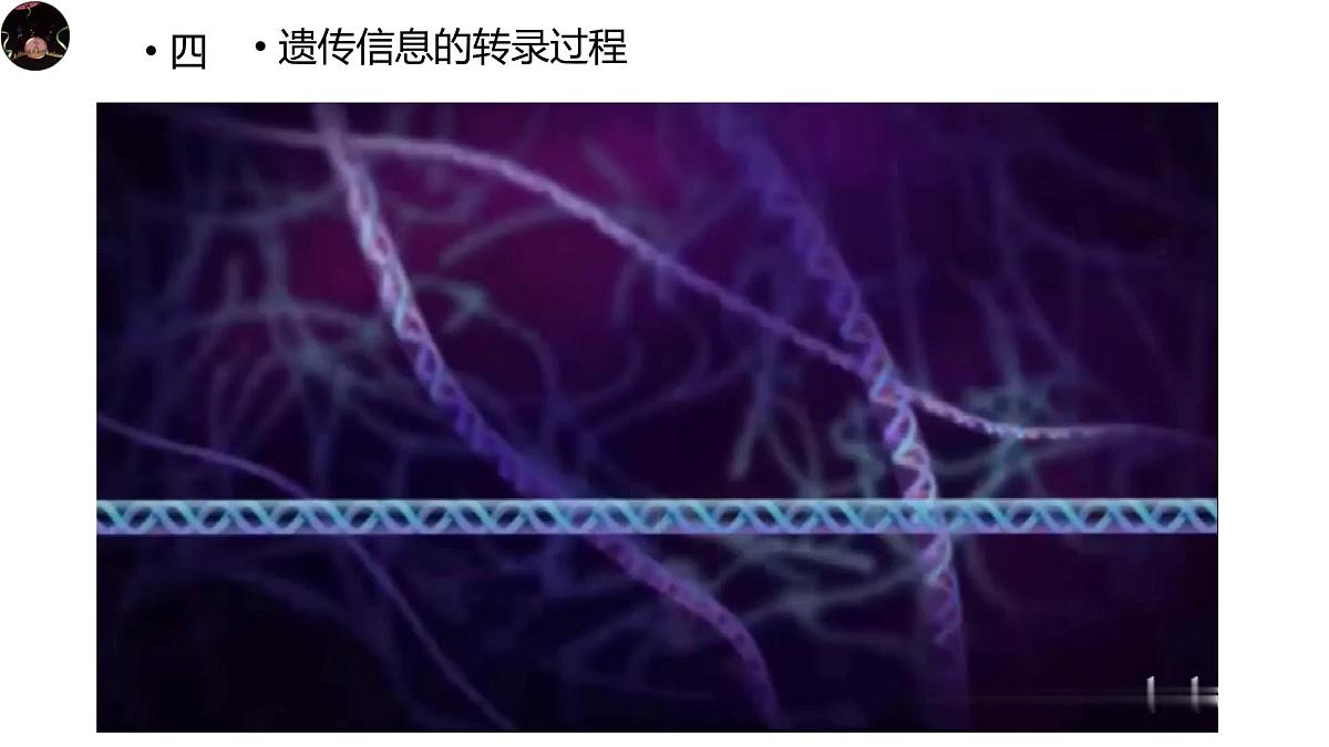 人教版高中生物必修2《4-1-2 基因指导蛋白质的合成》课件第3页