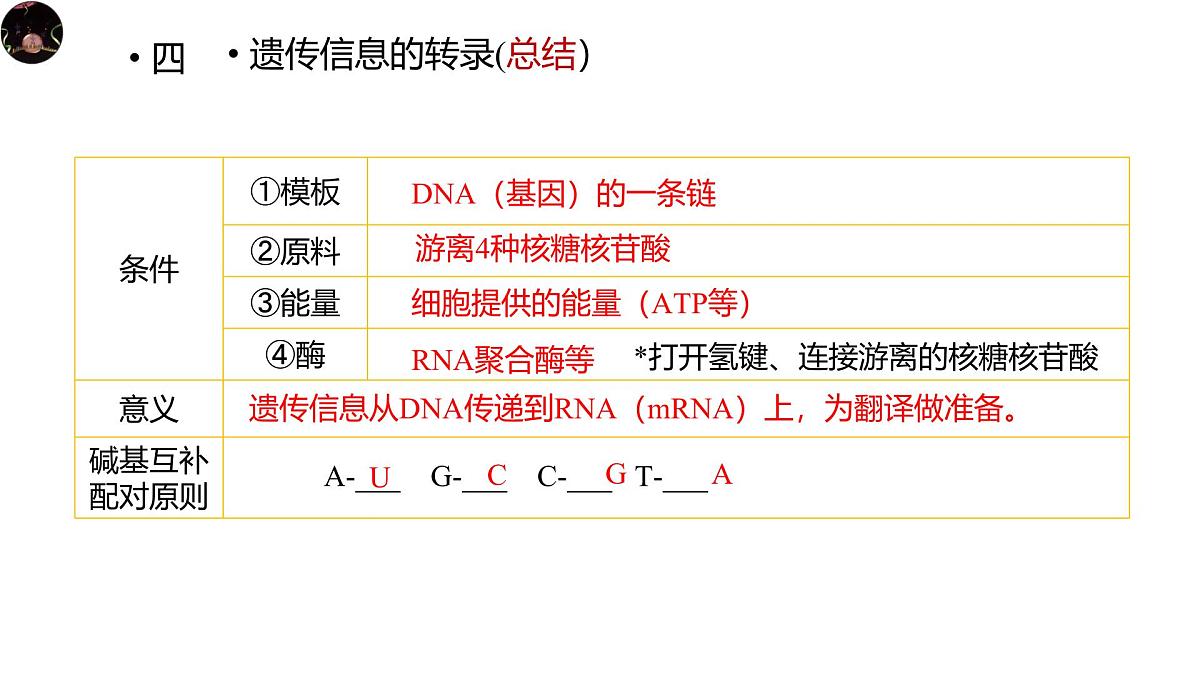 人教版高中生物必修2《4-1-2 基因指导蛋白质的合成》课件第4页