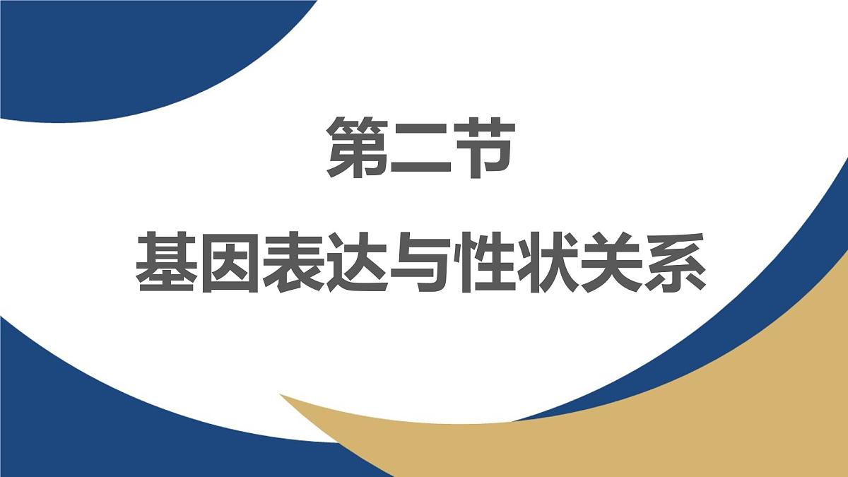 人教版高中生物必修2 4-2《基因表达与性状的关系》教学课件第1页