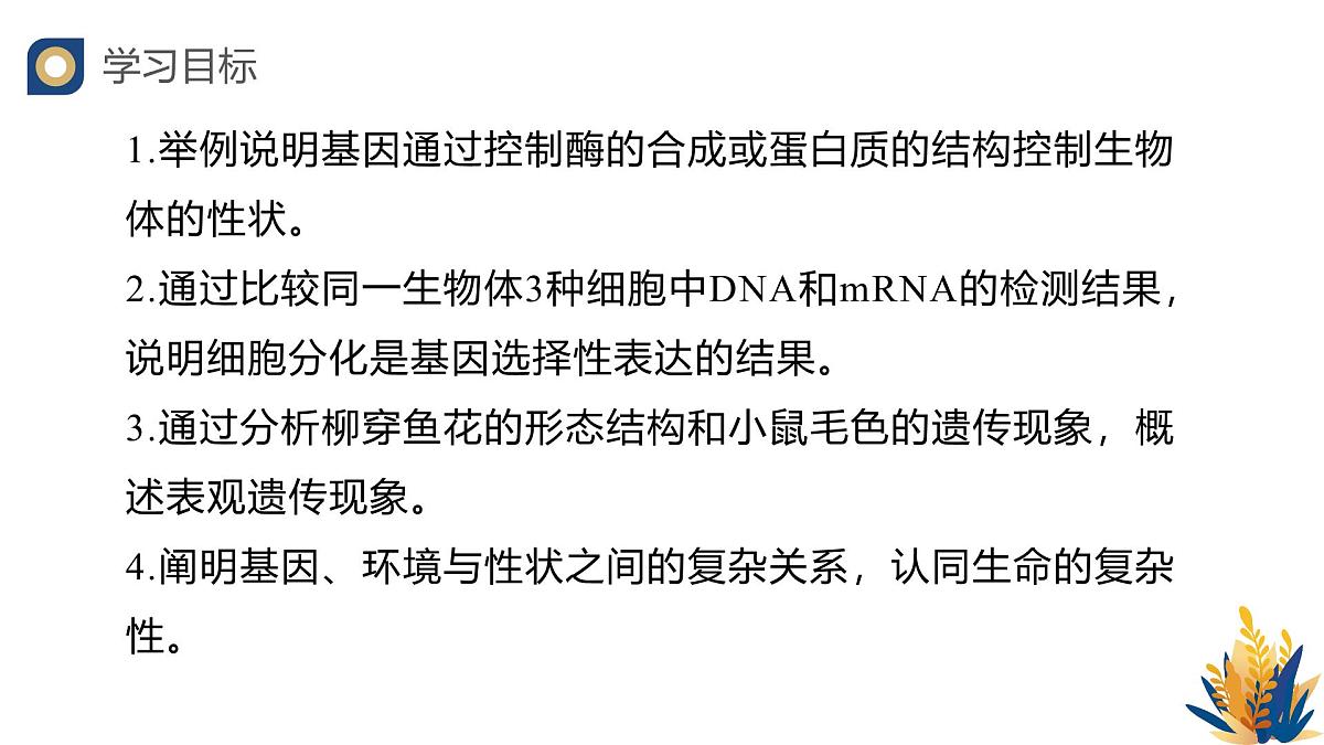 人教版高中生物必修2 4-2《基因表达与性状的关系》教学课件第2页