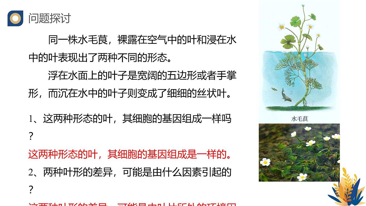 人教版高中生物必修2 4-2《基因表达与性状的关系》教学课件第3页