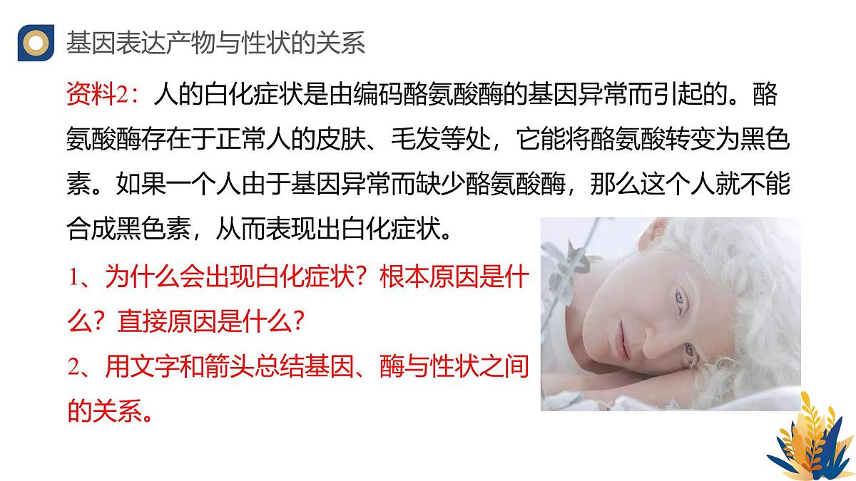 人教版高中生物必修2 4-2《基因表达与性状的关系》教学课件第6页