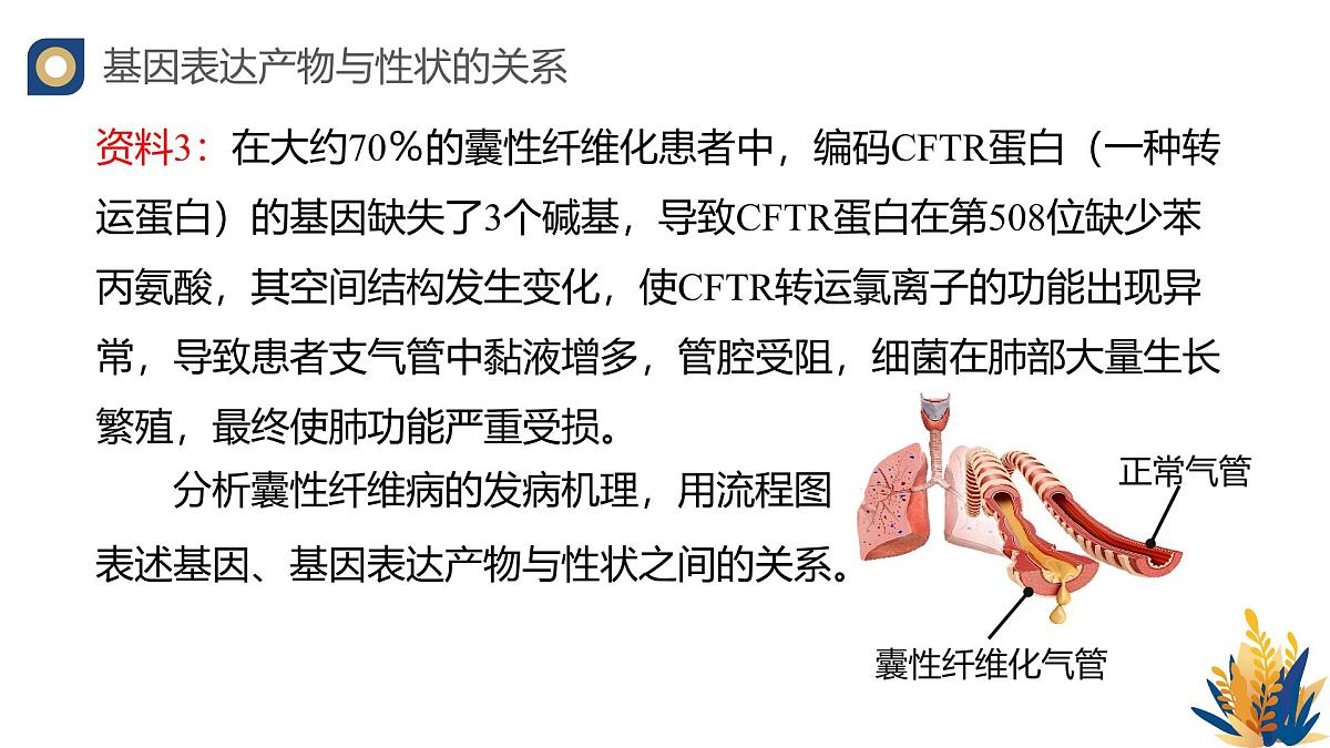人教版高中生物必修2 4-2《基因表达与性状的关系》教学课件第8页