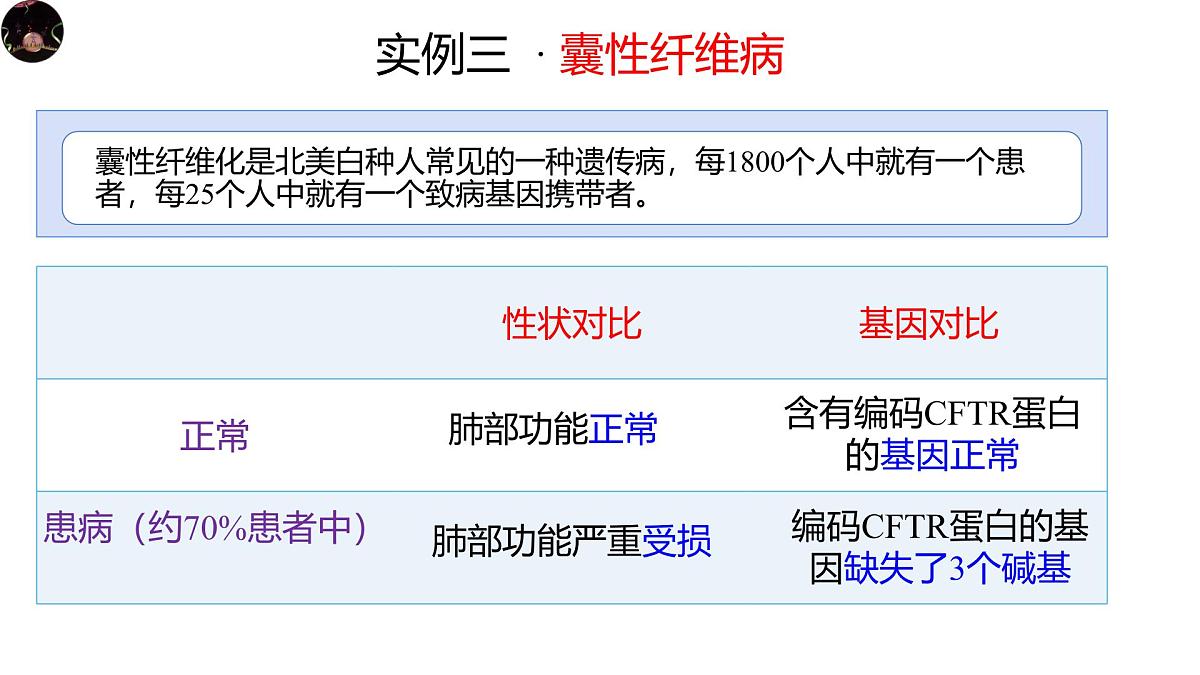 人教版高中生物必修2《4-2 基因表达与性状的关系》课件第5页