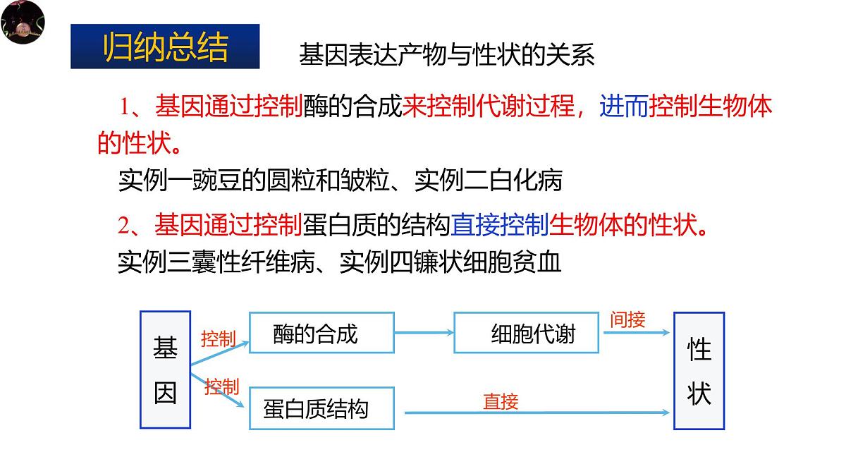 人教版高中生物必修2《4-2 基因表达与性状的关系》课件第8页