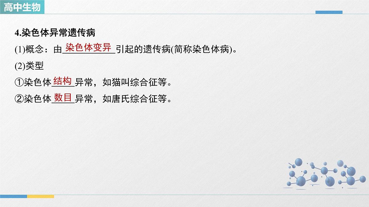 人教版高中生物必修2《5-3人类遗传病》教学课件第7页
