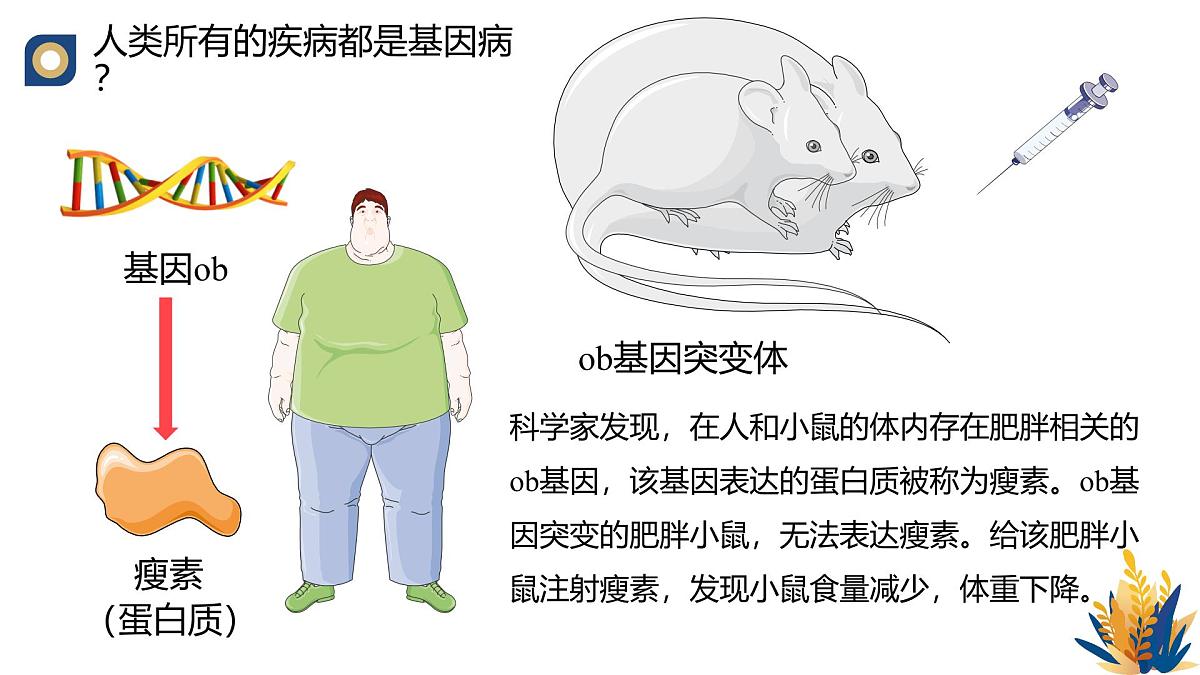 人教版高中生物必修2 5-3《人类遗传病》教学课件第3页