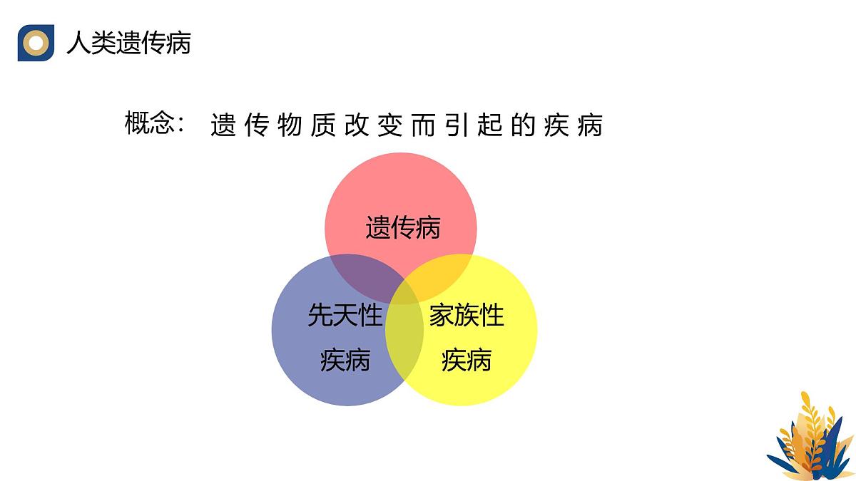 人教版高中生物必修2 5-3《人类遗传病》教学课件第5页