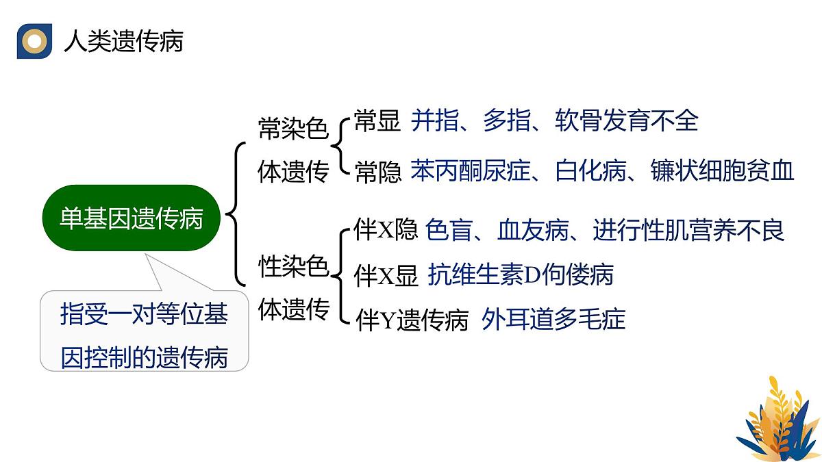 人教版高中生物必修2 5-3《人类遗传病》教学课件第8页