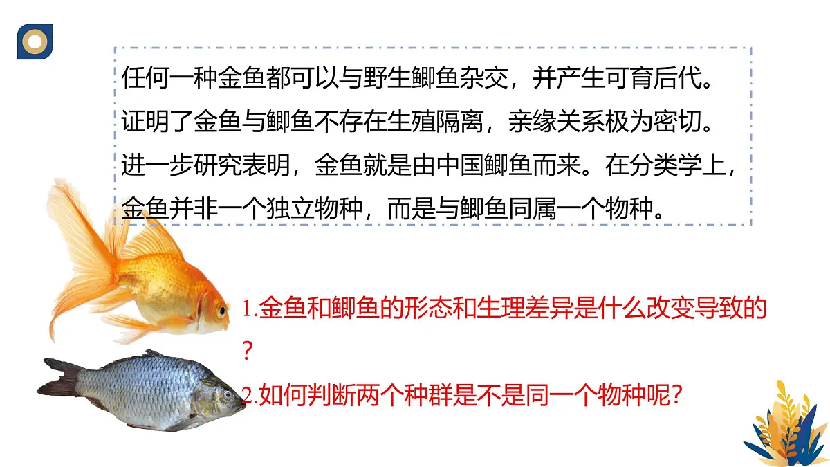 人教版高中生物必修2《种群基因组成的变化与物种的形成（第二课时）》教学课件第3页