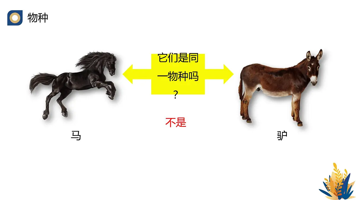 人教版高中生物必修2《种群基因组成的变化与物种的形成（第二课时）》教学课件第4页