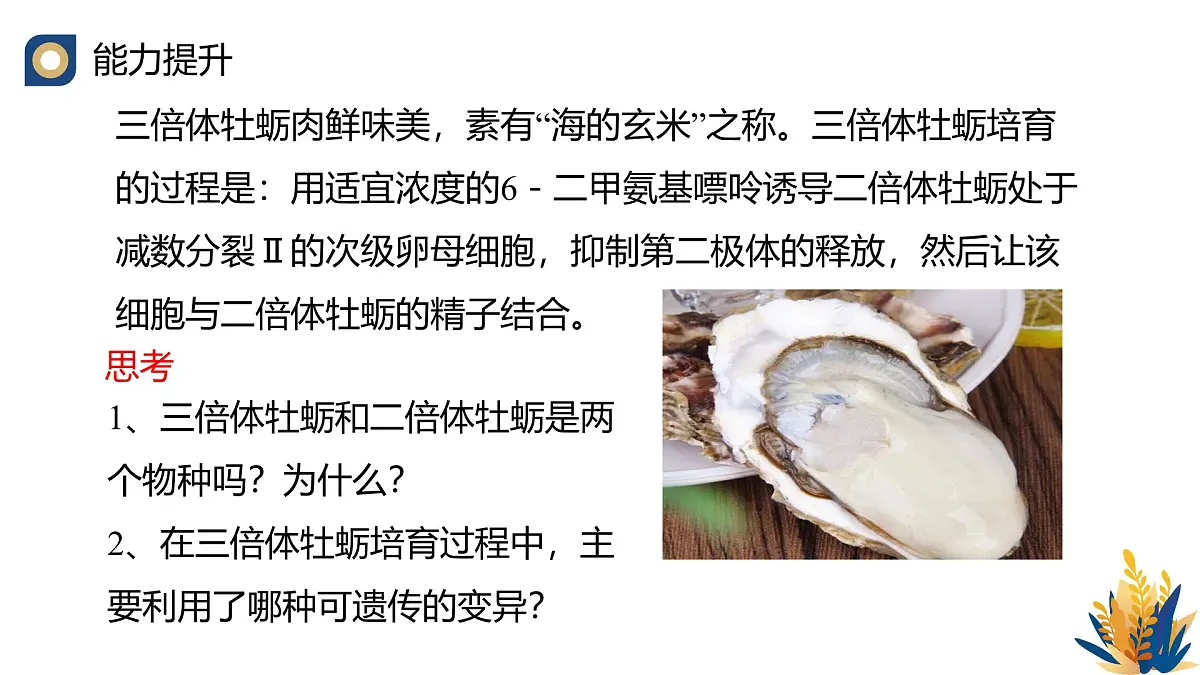 人教版高中生物必修2《种群基因组成的变化与物种的形成（第二课时）》教学课件第6页