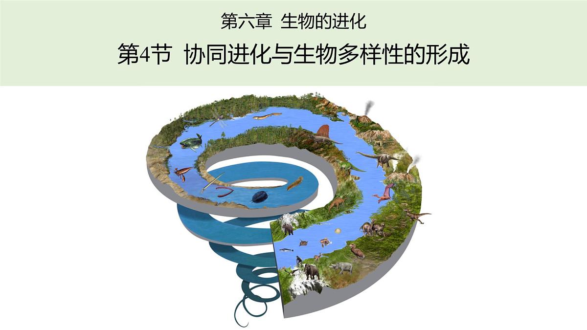 人教版高中生物必修2 6-4《6-4 协同进化与生物多样性的形成》课件第1页