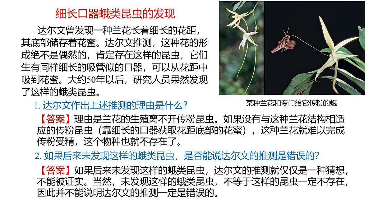 人教版高中生物必修2 6-4《6-4 协同进化与生物多样性的形成》课件第2页