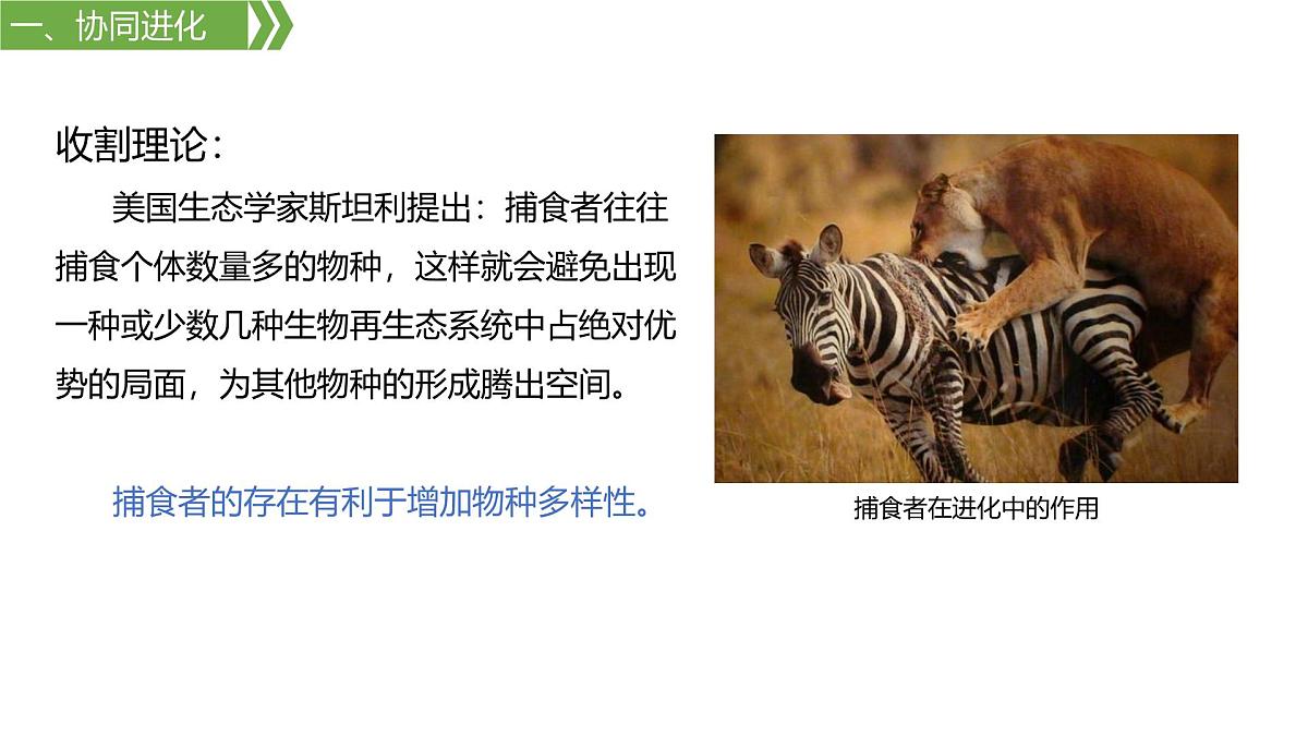 人教版高中生物必修2 6-4《6-4 协同进化与生物多样性的形成》课件第4页