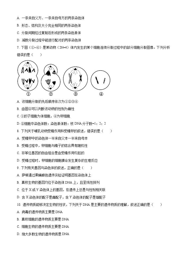 高一下学期期中联考人教版生物试题 无答案第2页