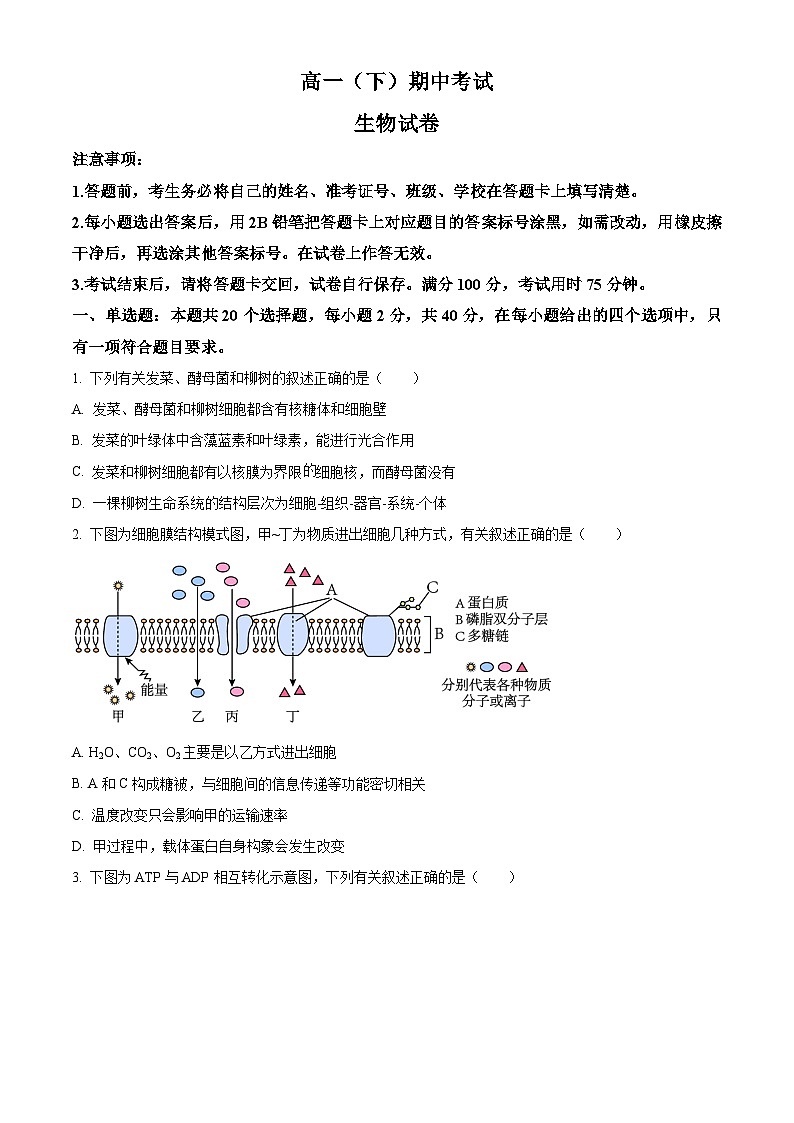 高一下学期期中人教版生物试题 无答案第1页