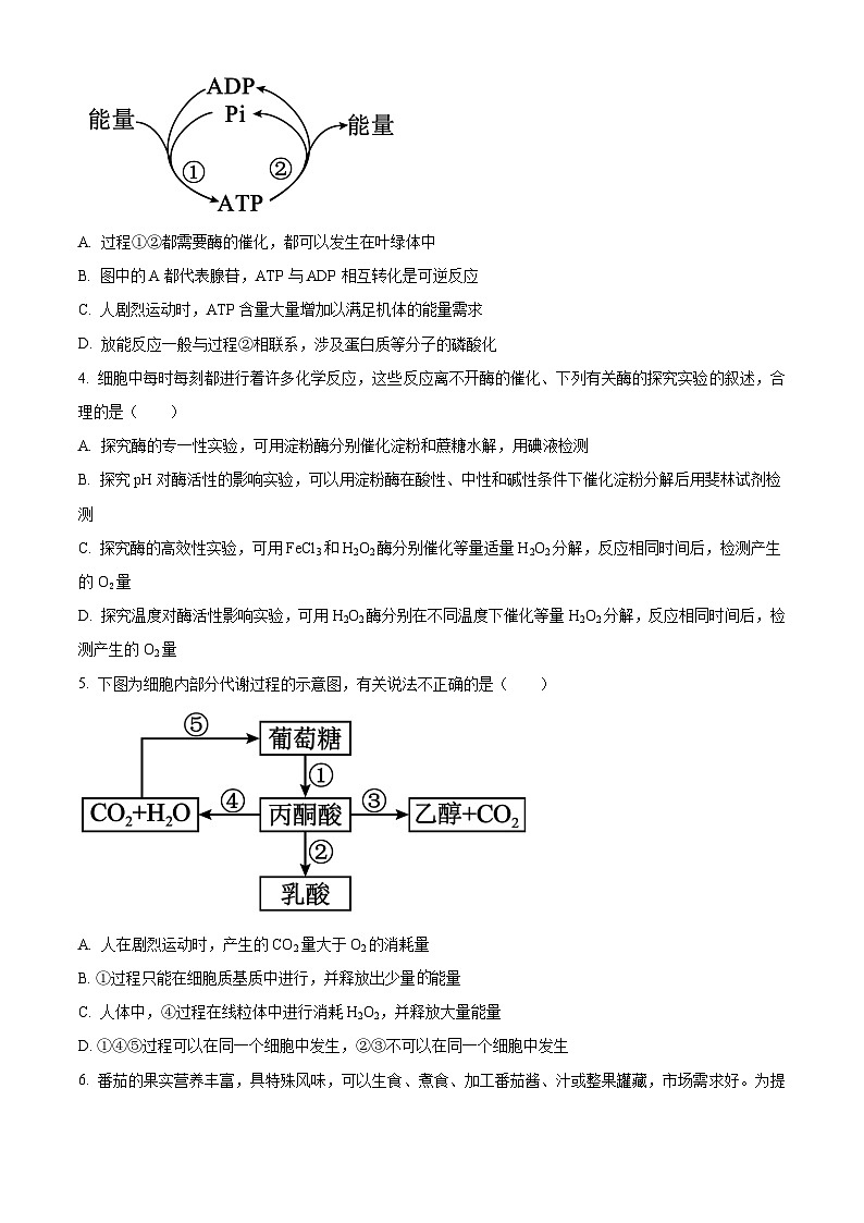 高一下学期期中人教版生物试题 无答案第2页