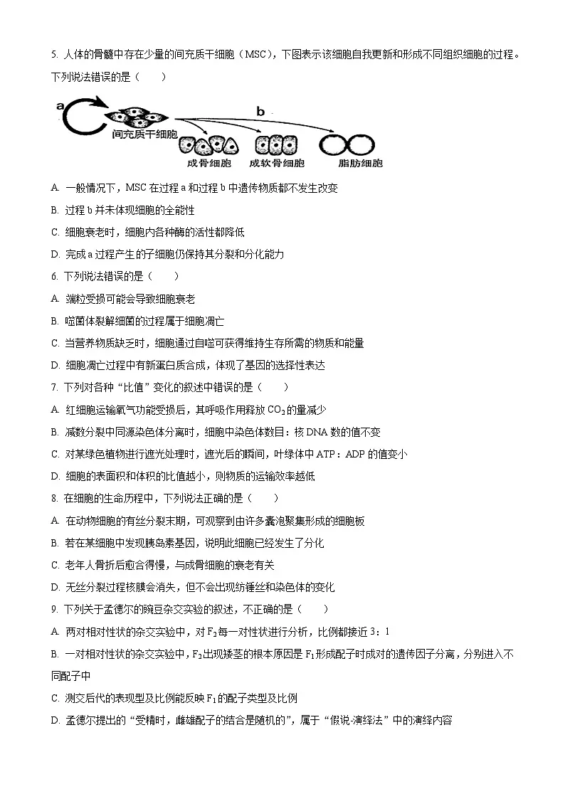 高一下学期期末人教版生物试题（原卷版 无答案）第2页