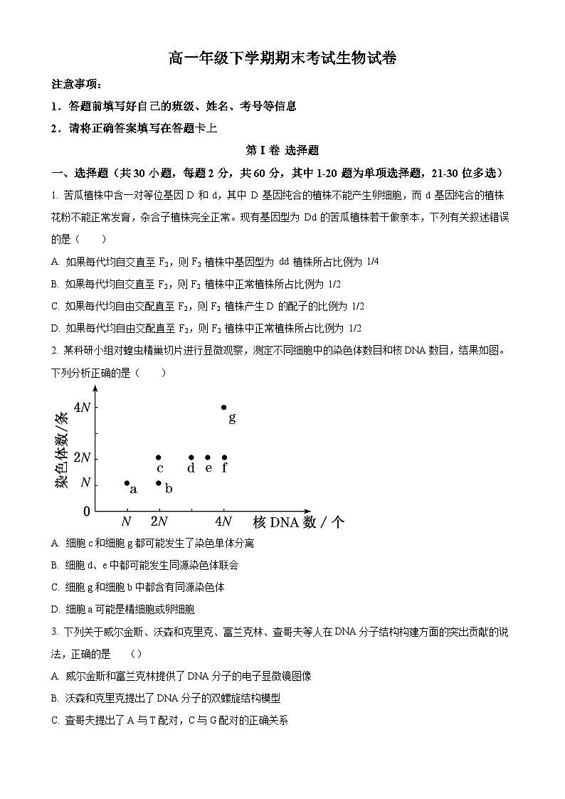 高一下学期期末人教版生物试题2（原卷版 无答案）第1页