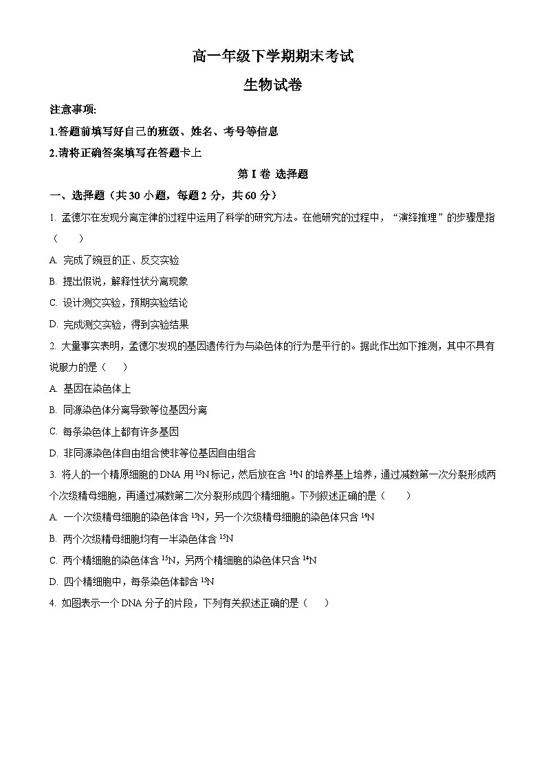 高一下学期期末人教版生物试题3（原卷版 无答案）第1页