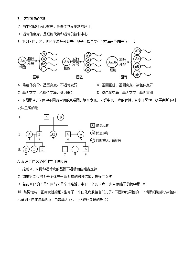 高一下学期期末人教版生物试题3（原卷版 无答案）第3页