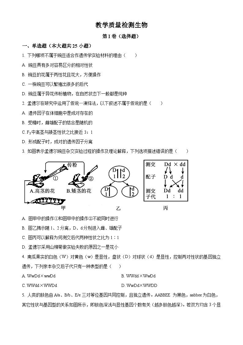 高一下学期期末教学质量检测人教版生物试题（原卷版 无答案）第1页