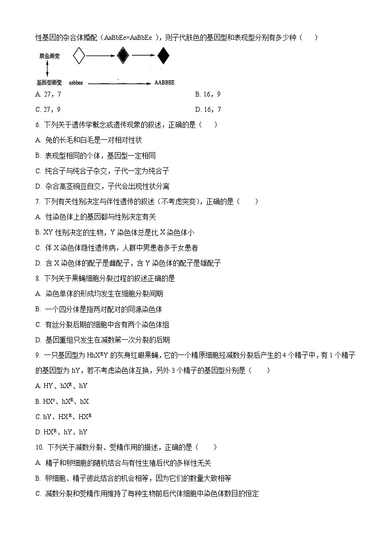 高一下学期期末教学质量检测人教版生物试题（原卷版 无答案）第2页