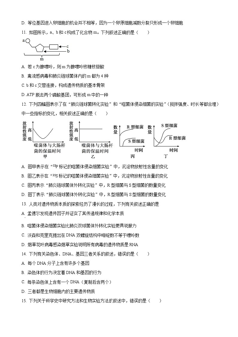 高一下学期期末教学质量检测人教版生物试题（原卷版 无答案）第3页