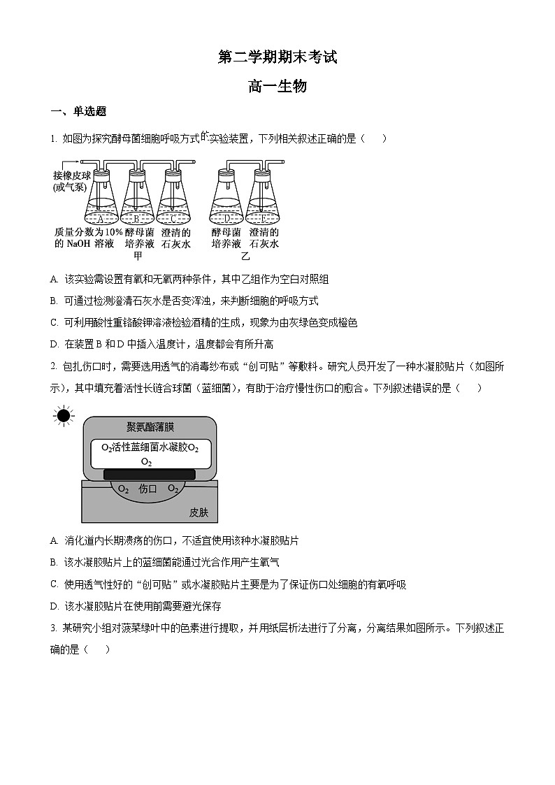 高一下学期期末人教版生物试题4（原卷版 无答案）第1页