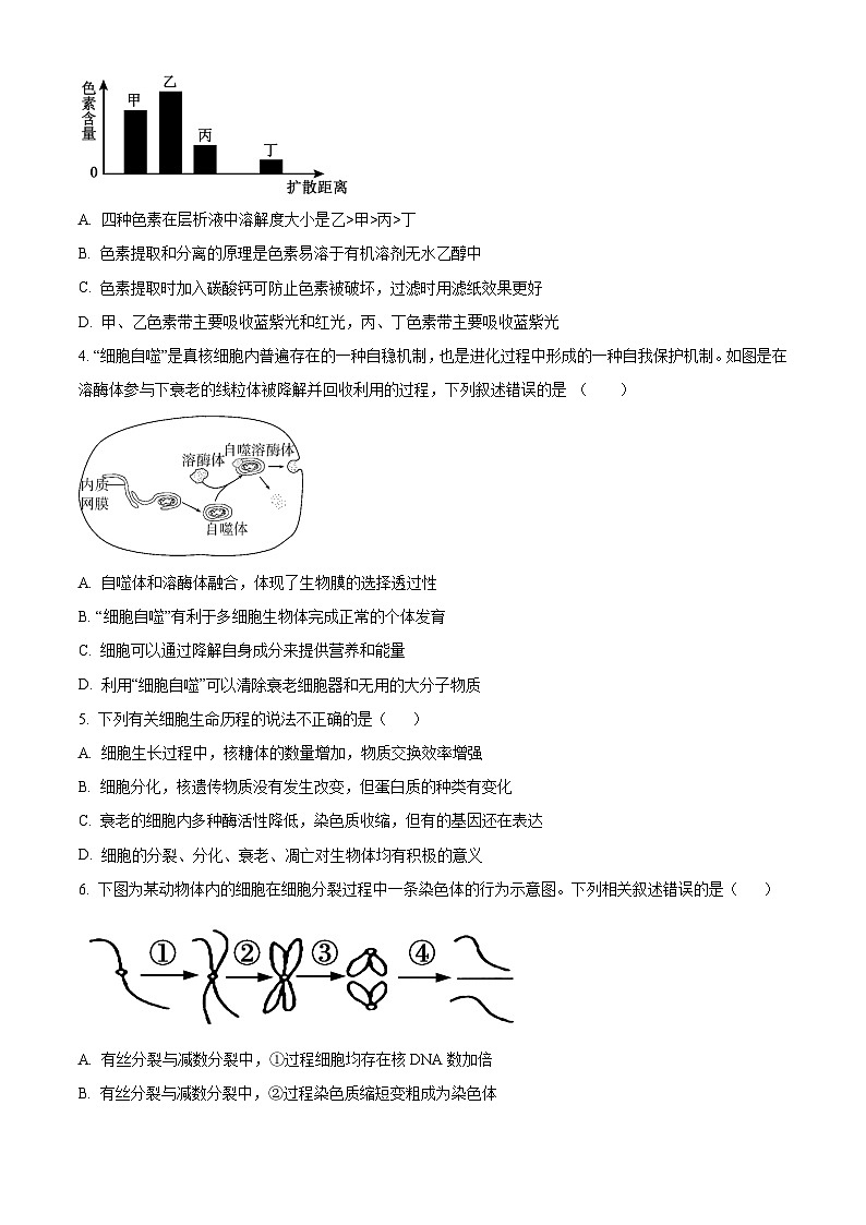高一下学期期末人教版生物试题4（原卷版 无答案）第2页
