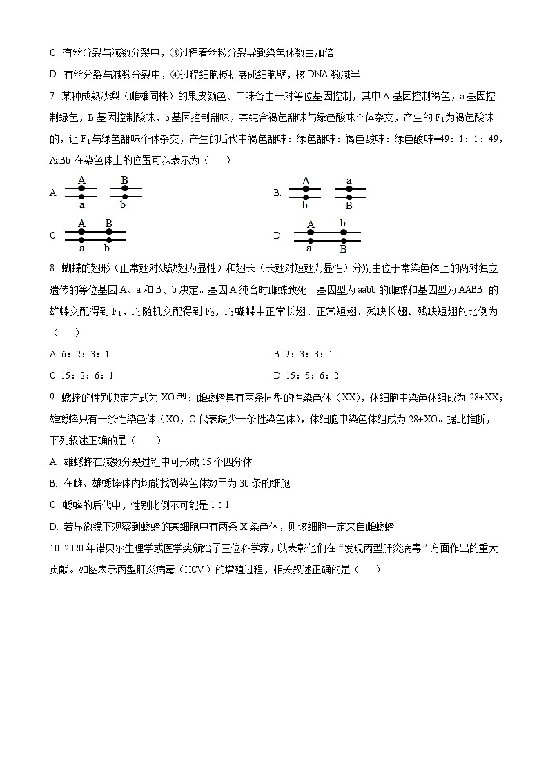 高一下学期期末人教版生物试题4（原卷版 无答案）第3页