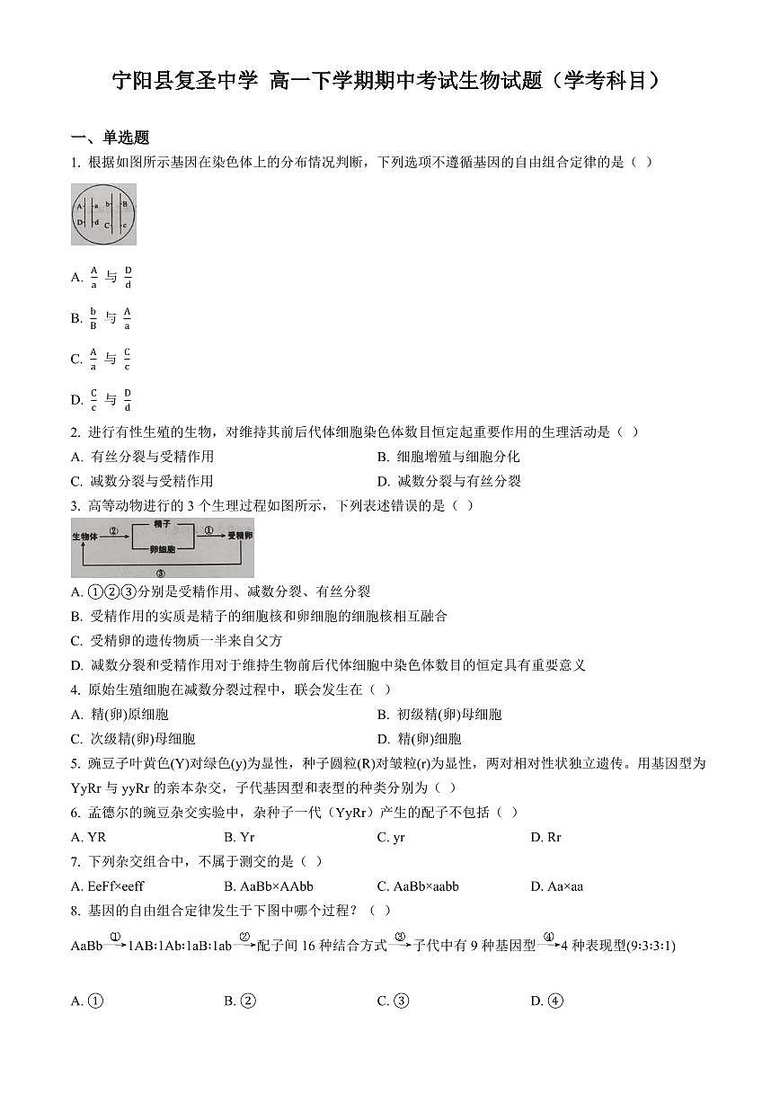山东省泰安市宁阳县复圣中学2024-2025学年高一下学期期中生物试卷（含答案）第1页