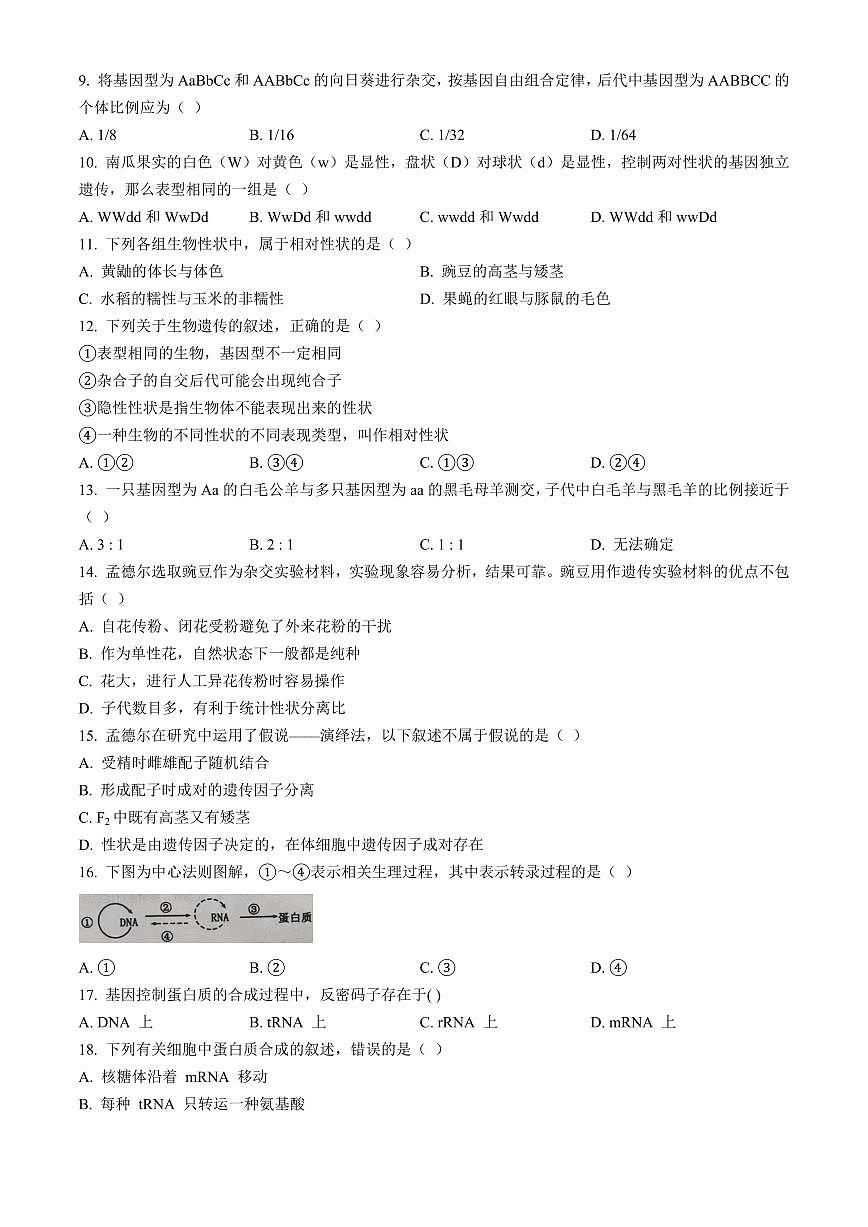 山东省泰安市宁阳县复圣中学2024-2025学年高一下学期期中生物试卷（含答案）第2页