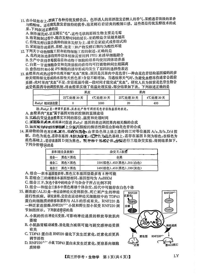 2025年九师联盟高三2月开学考-生物试卷（含答案）第3页