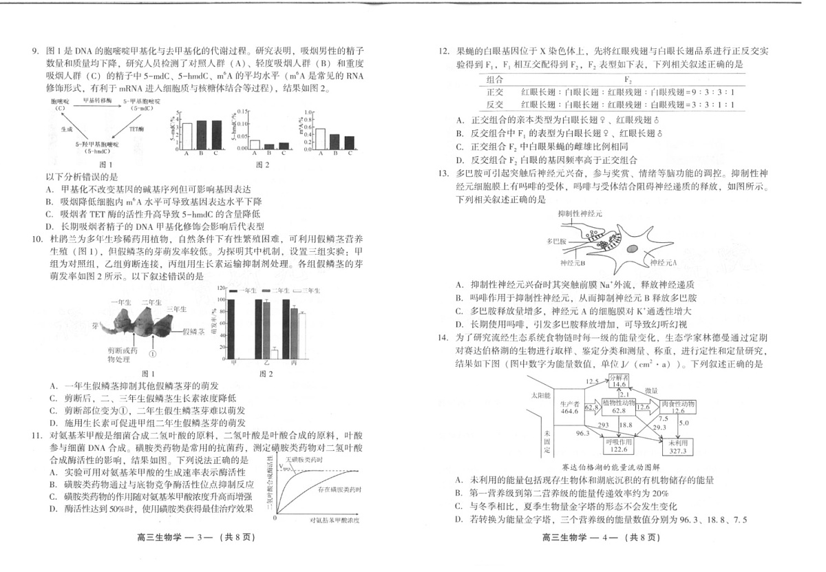 福建省福州市2025届高三第二次质量检测（福州高三二检）-生物试题（含答案）第2页