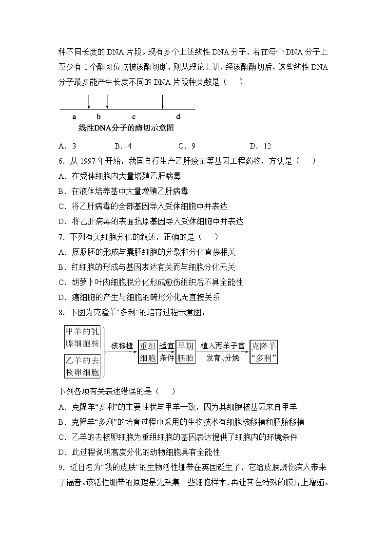 浙科版高中生物选修3《现代生物科技专题》期末综合复习 检测题 无答案第2页