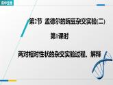 人教版高中生物必修2 1-2《孟德尔的豌豆杂交实验(二)_第1课时》教学课件