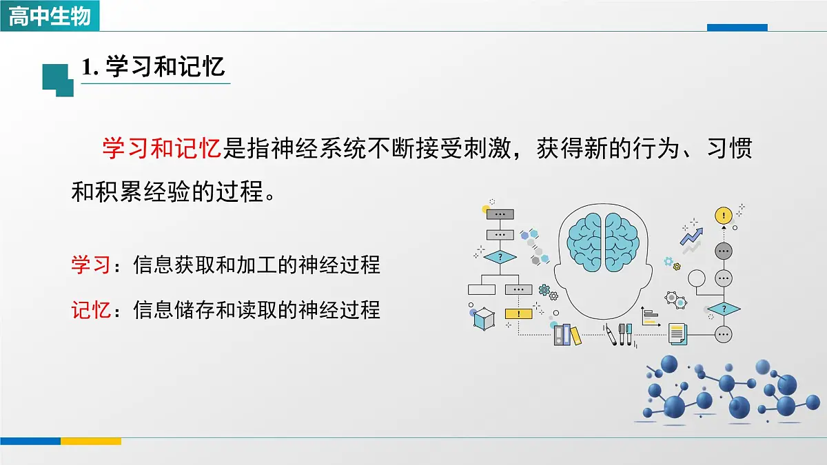 人教版高中生物选修1 2-5《人脑的高级功能（第二课时）》课件第3页