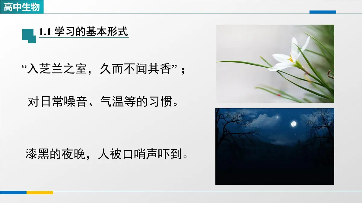 人教版高中生物选修1 2-5《人脑的高级功能（第二课时）》课件第4页