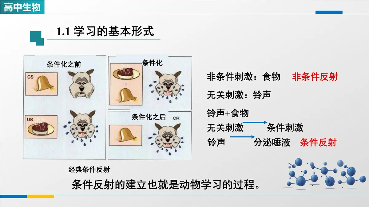人教版高中生物选修1 2-5《人脑的高级功能（第二课时）》课件第5页