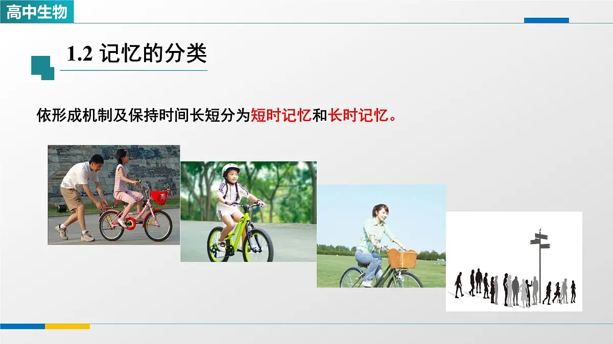 人教版高中生物选修1 2-5《人脑的高级功能（第二课时）》课件第7页