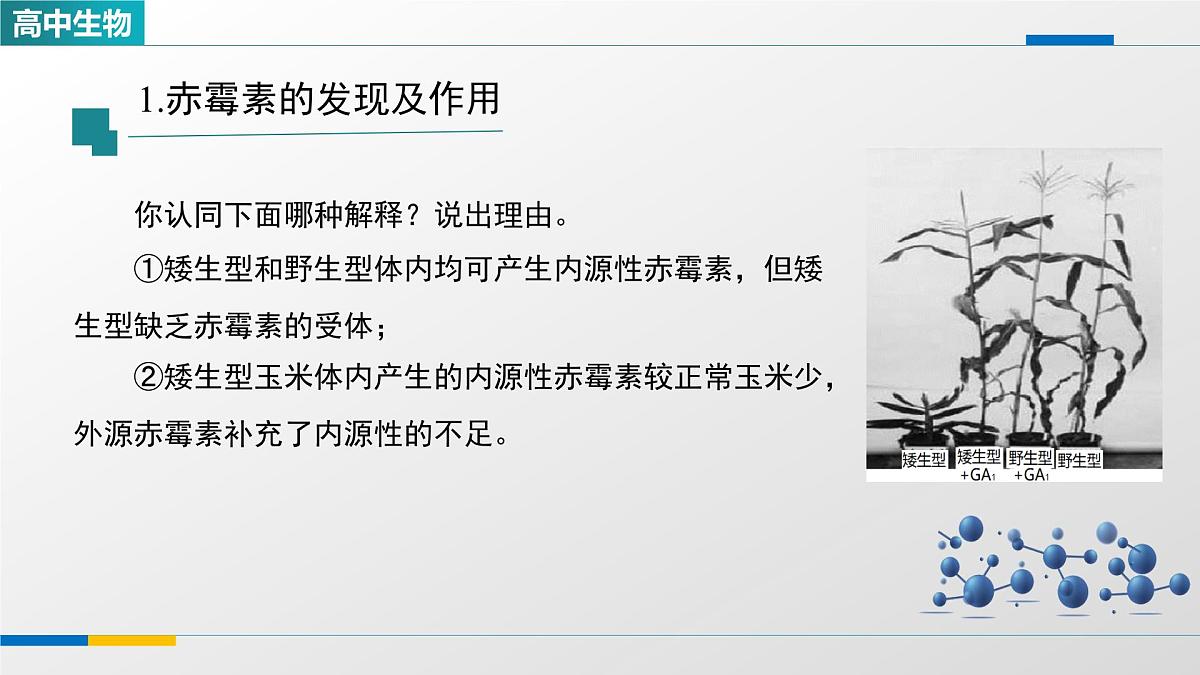 人教版高中生物选修1 5-2《其他植物激素》课件第5页
