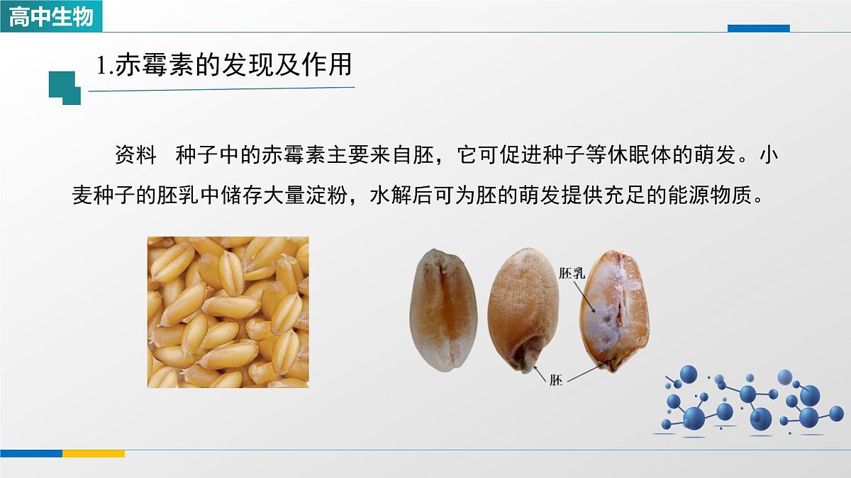 人教版高中生物选修1 5-2《其他植物激素》课件第8页