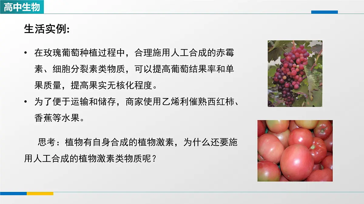 人教版高中生物选修1 5-3《植物生长调节剂的应用》课件第2页