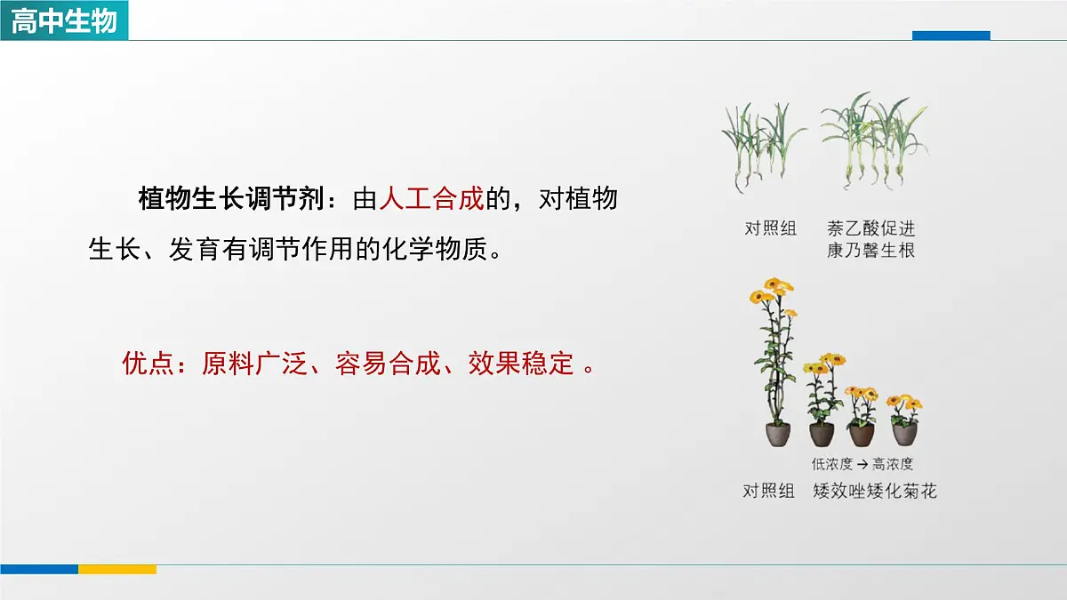 人教版高中生物选修1 5-3《植物生长调节剂的应用》课件第4页