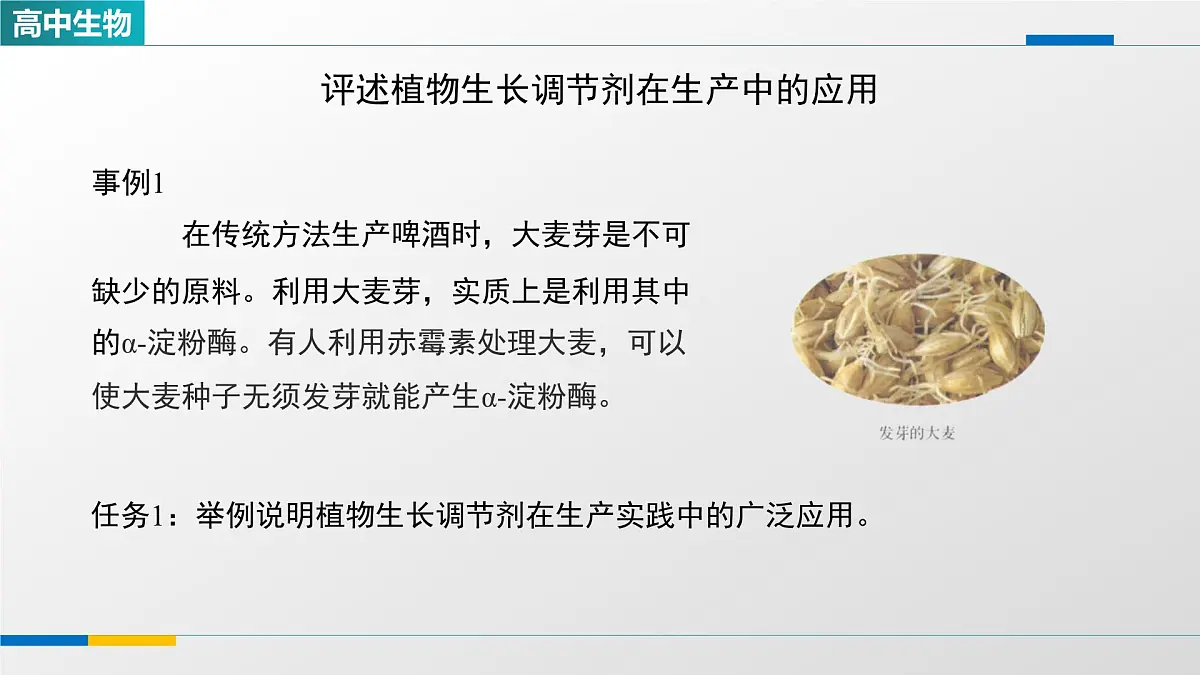 人教版高中生物选修1 5-3《植物生长调节剂的应用》课件第6页