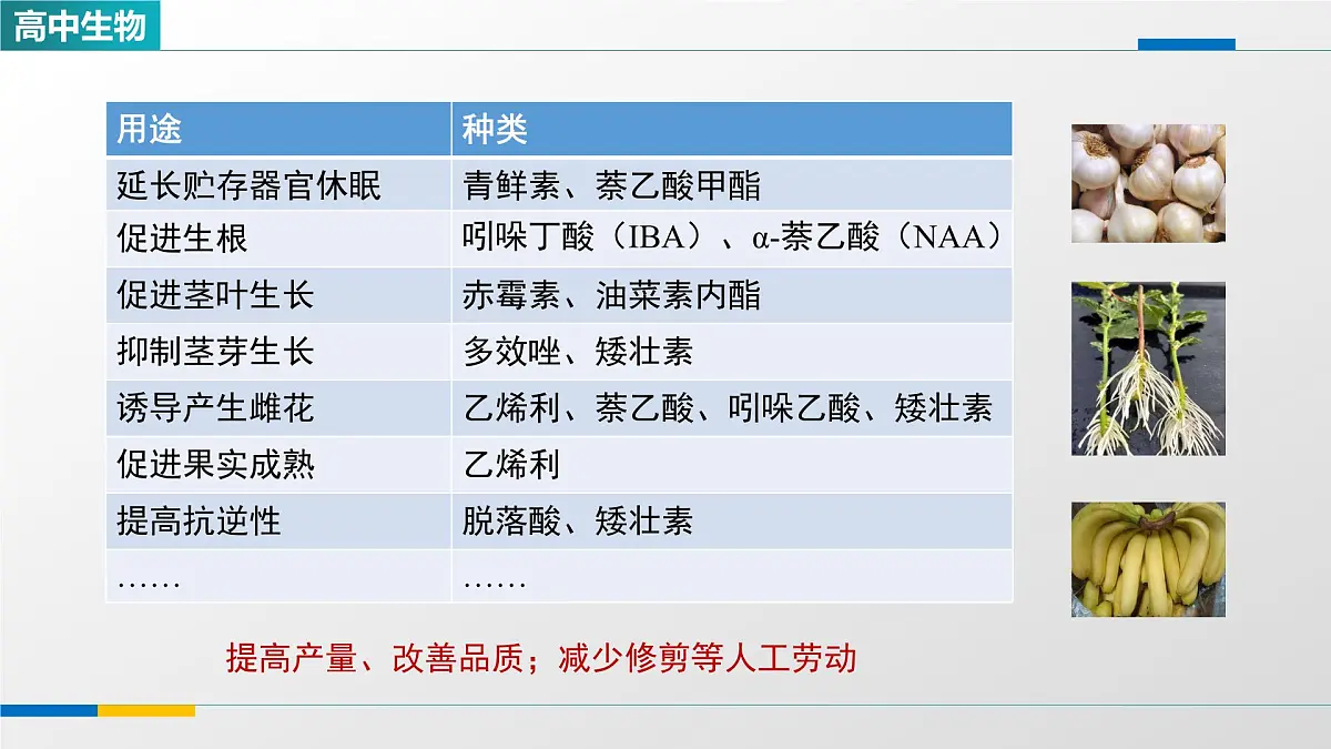 人教版高中生物选修1 5-3《植物生长调节剂的应用》课件第7页