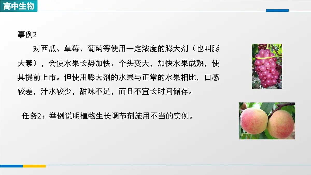 人教版高中生物选修1 5-3《植物生长调节剂的应用》课件第8页