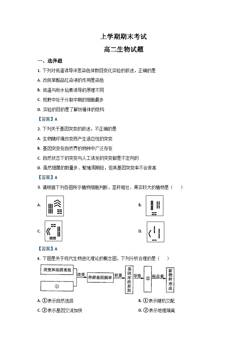 高二上学期期末人教版生物试题 无答案第1页